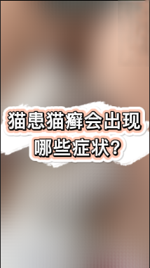 猫患猫癣会出现哪些症状？
