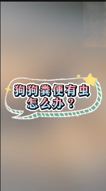 狗狗粪便有虫怎么办？