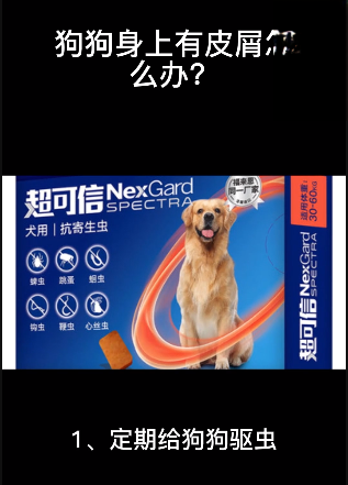 狗狗身上有皮屑怎么办？
