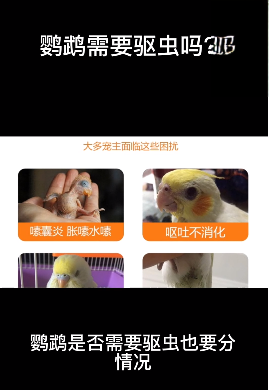 鹦鹉需要驱虫吗？
