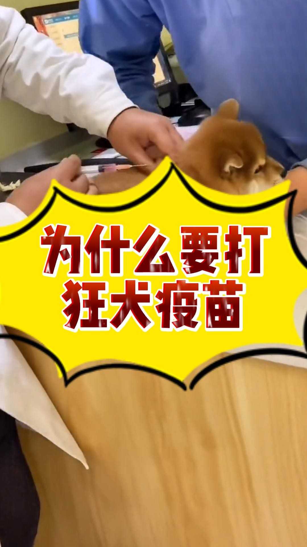 为什么要打狂犬疫苗