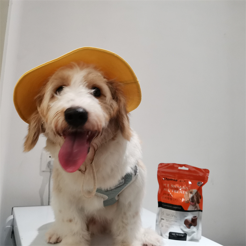 狗狗吐舌头