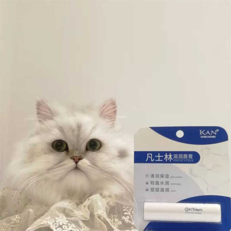 猫咪的独宠