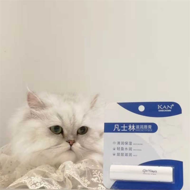 猫咪的独宠